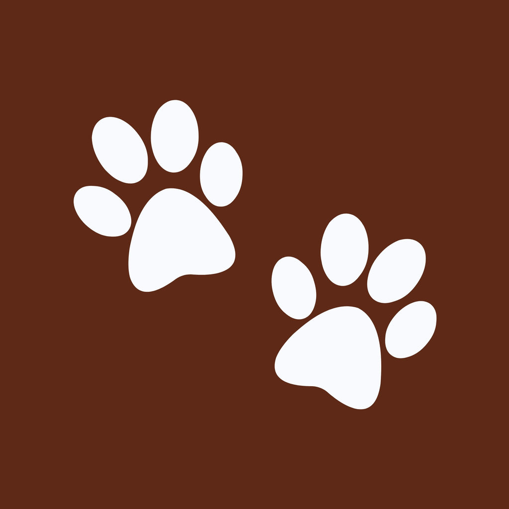 CBD for Pets